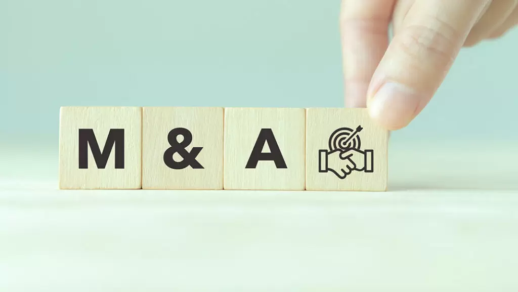 Sovereign M&A Coaching